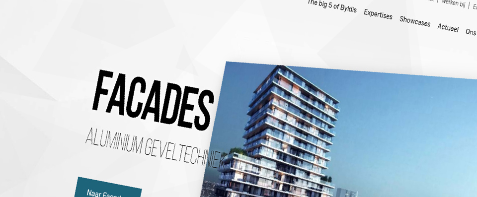 bydlis uxdesign nexwork