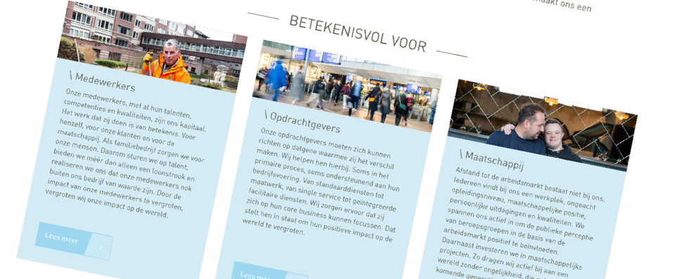 vebego website detail