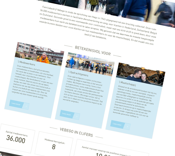 vebego website detail