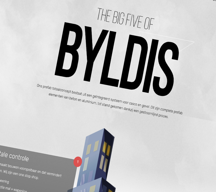 byldis case nexwork
